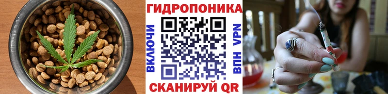 купить наркотик  маркетплейс какой сайт  Еда ТГК конопля  Новопавловск 
