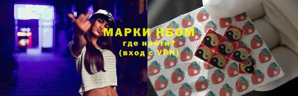 прущие грибы Навашино