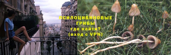 марки lsd Нефтекумск