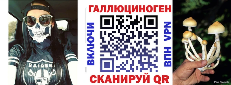 Псилоцибиновые грибы Cubensis ссылка на мегу ONION Новопавловск что такое наркотик